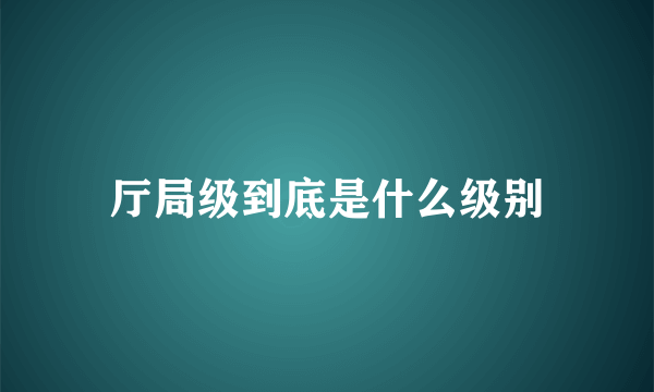 厅局级到底是什么级别