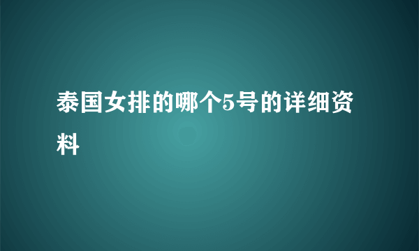 泰国女排的哪个5号的详细资料