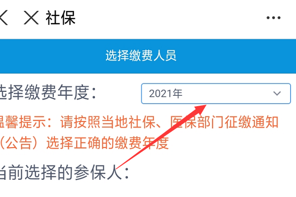 新农合在山东税务网上怎么缴费?