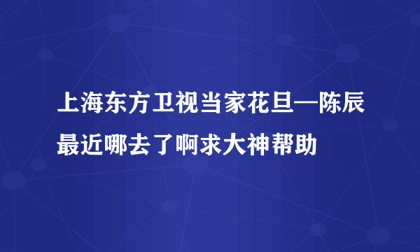 上海东方卫视当家花旦—陈辰最近哪去了啊求大神帮助