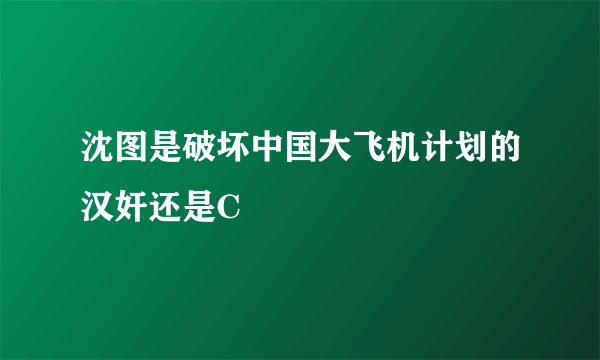 沈图是破坏中国大飞机计划的汉奸还是C