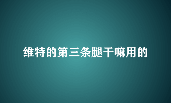 维特的第三条腿干嘛用的