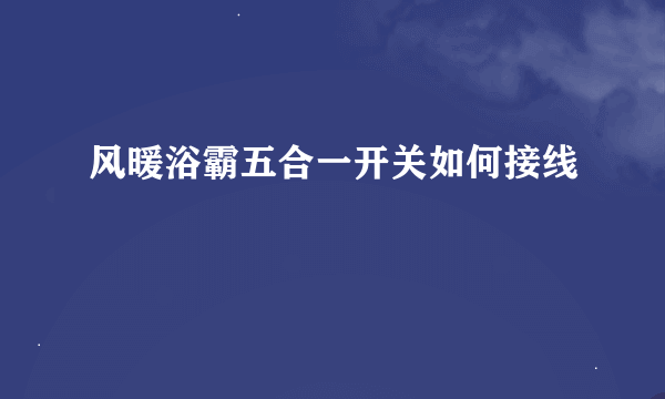 风暖浴霸五合一开关如何接线