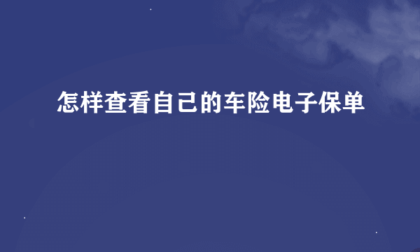 怎样查看自己的车险电子保单