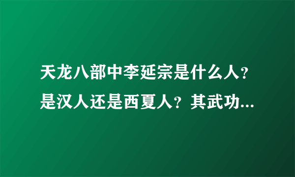 天龙八部中李延宗是什么人？是汉人还是西夏人？其武功怎么如此之高，和乔峰旗鼓相当？