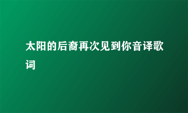 太阳的后裔再次见到你音译歌词