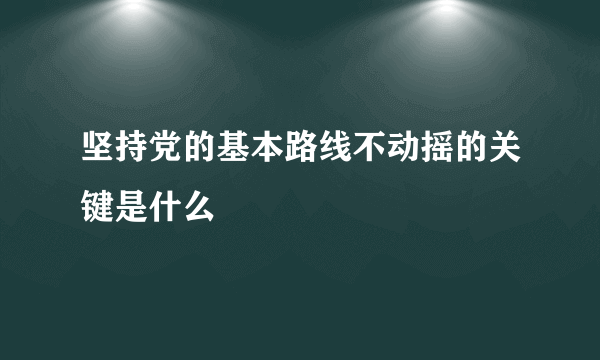 坚持党的基本路线不动摇的关键是什么