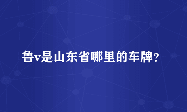 鲁v是山东省哪里的车牌？