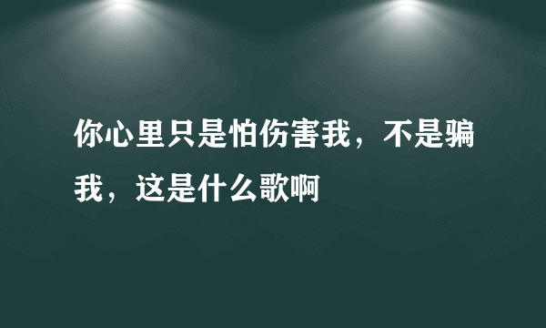 你心里只是怕伤害我，不是骗我，这是什么歌啊