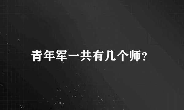 青年军一共有几个师？