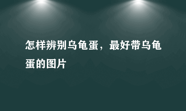 怎样辨别乌龟蛋，最好带乌龟蛋的图片