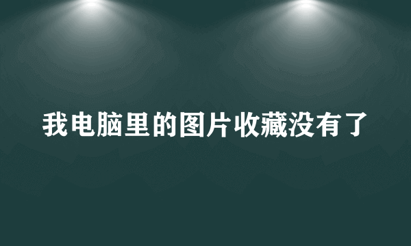 我电脑里的图片收藏没有了