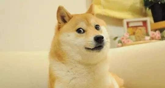 QQ里有一个“/doge”是啥意思啊？