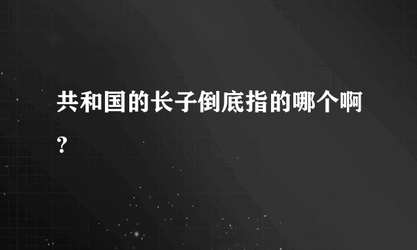 共和国的长子倒底指的哪个啊？