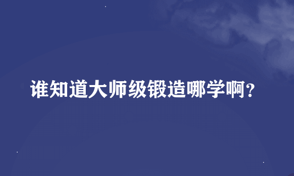 谁知道大师级锻造哪学啊？