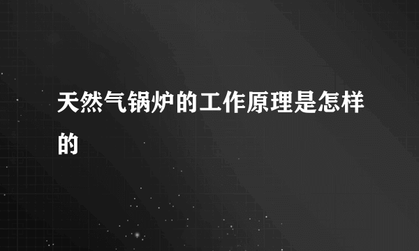 天然气锅炉的工作原理是怎样的