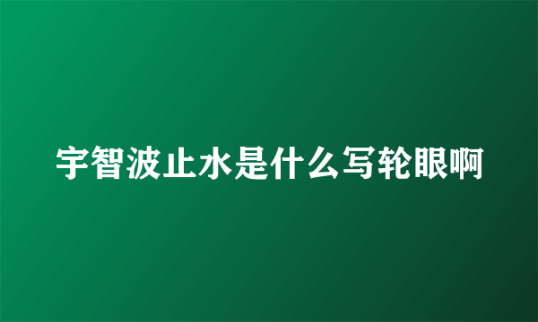 宇智波止水是什么写轮眼啊