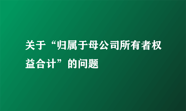 关于“归属于母公司所有者权益合计”的问题