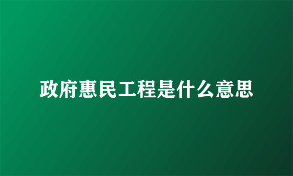 政府惠民工程是什么意思