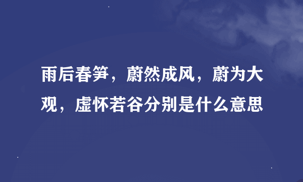 雨后春笋，蔚然成风，蔚为大观，虚怀若谷分别是什么意思