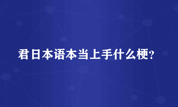 君日本语本当上手什么梗？