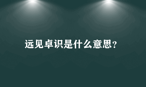 远见卓识是什么意思？