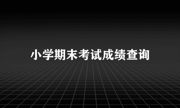 小学期末考试成绩查询