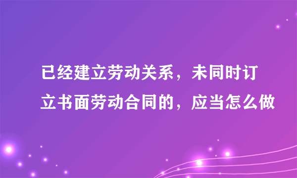 已经建立劳动关系，未同时订立书面劳动合同的，应当怎么做