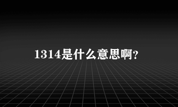 1314是什么意思啊？