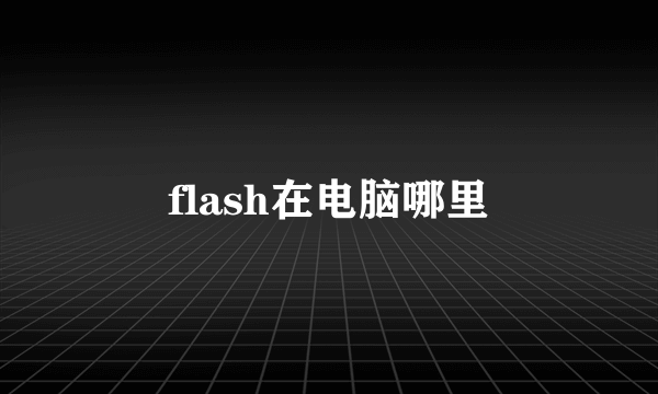 flash在电脑哪里