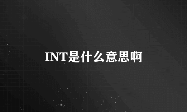 INT是什么意思啊