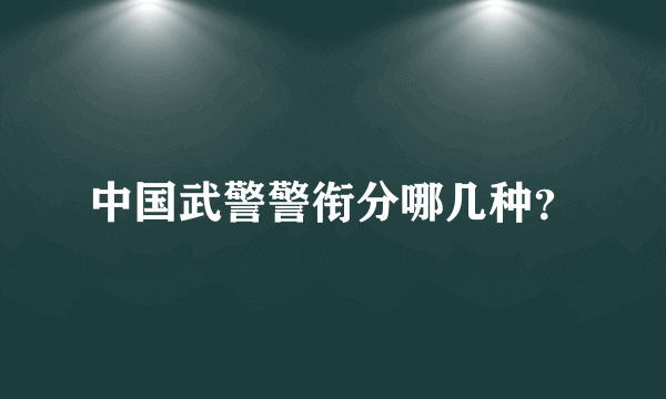 中国武警警衔分哪几种？