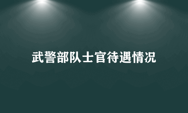 武警部队士官待遇情况