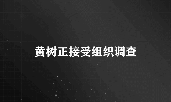 黄树正接受组织调查