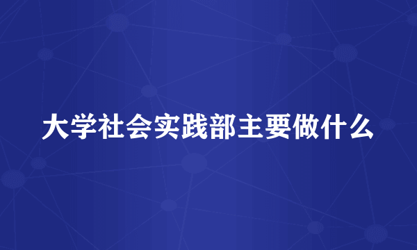 大学社会实践部主要做什么