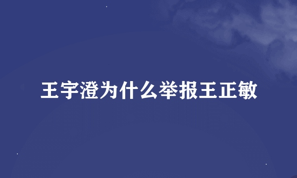 王宇澄为什么举报王正敏