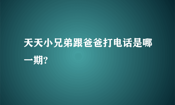 天天小兄弟跟爸爸打电话是哪一期?