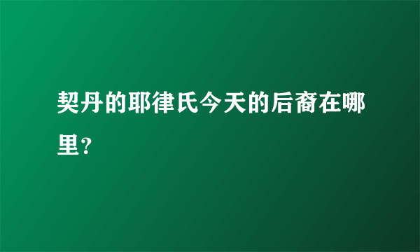 契丹的耶律氏今天的后裔在哪里？