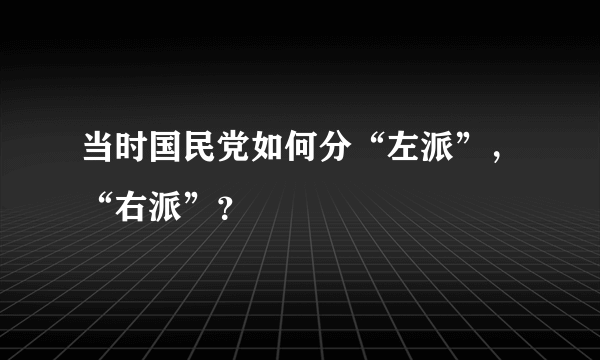 当时国民党如何分“左派”，“右派”？