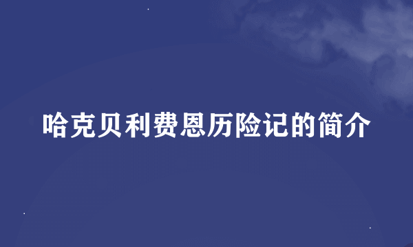 哈克贝利费恩历险记的简介