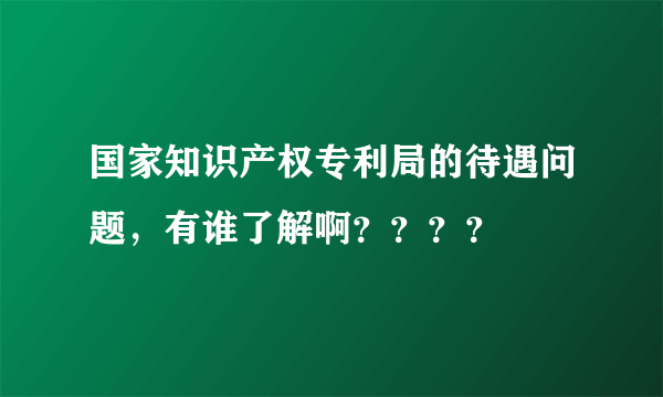 国家知识产权专利局的待遇问题，有谁了解啊？？？？