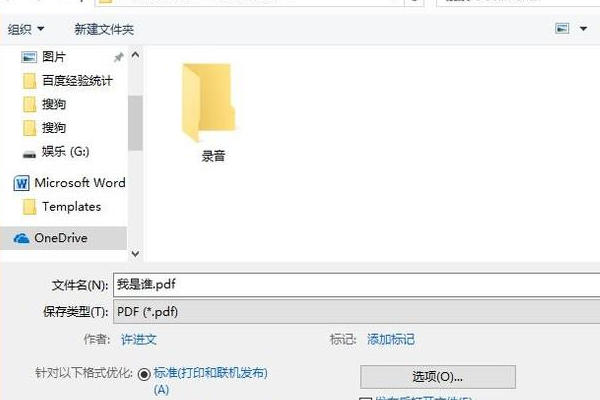 project2010转换成一页pdf