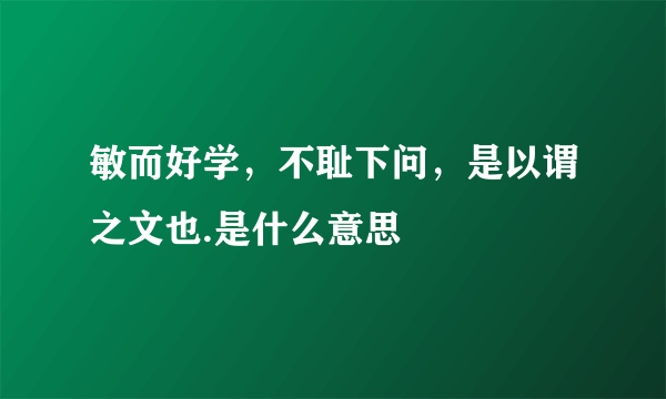 敏而好学，不耻下问，是以谓之文也.是什么意思