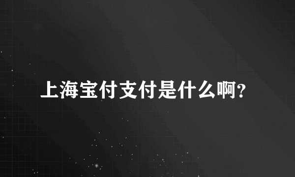 上海宝付支付是什么啊？