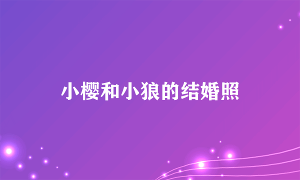 小樱和小狼的结婚照