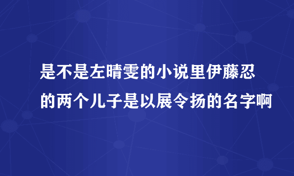 是不是左晴雯的小说里伊藤忍的两个儿子是以展令扬的名字啊