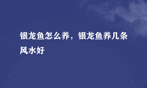 银龙鱼怎么养，银龙鱼养几条风水好