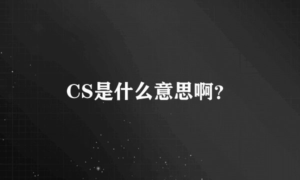 CS是什么意思啊？