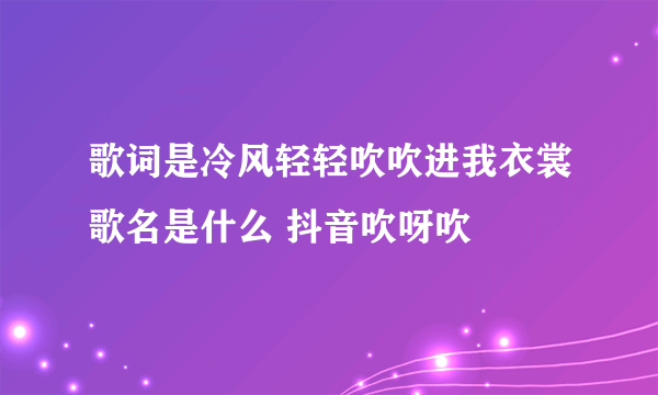 歌词是冷风轻轻吹吹进我衣裳歌名是什么 抖音吹呀吹