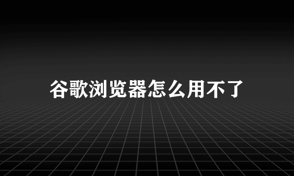 谷歌浏览器怎么用不了